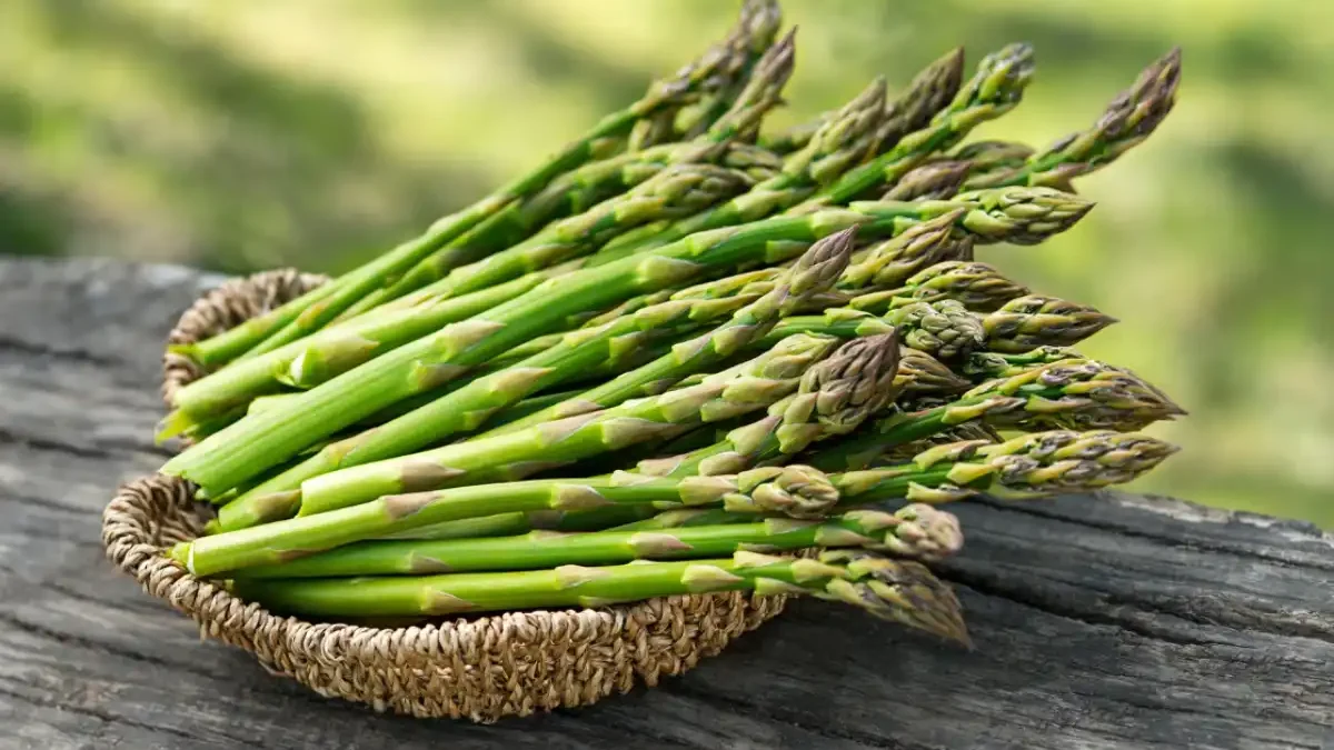 Asperge