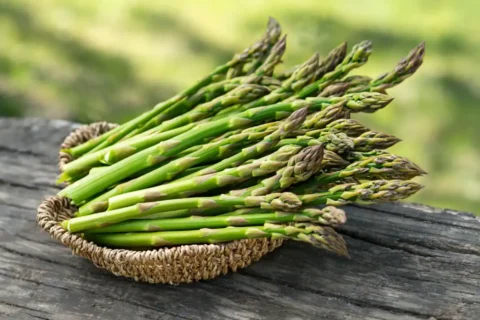 Asperge