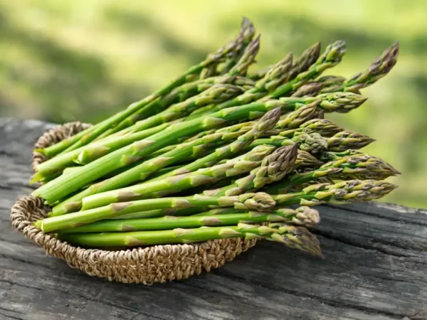 Asperge