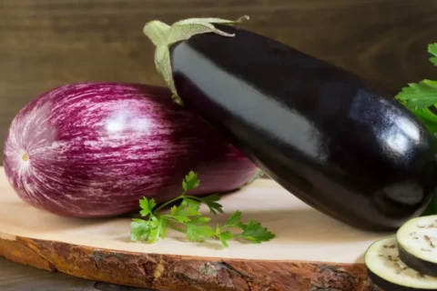 Aubergine