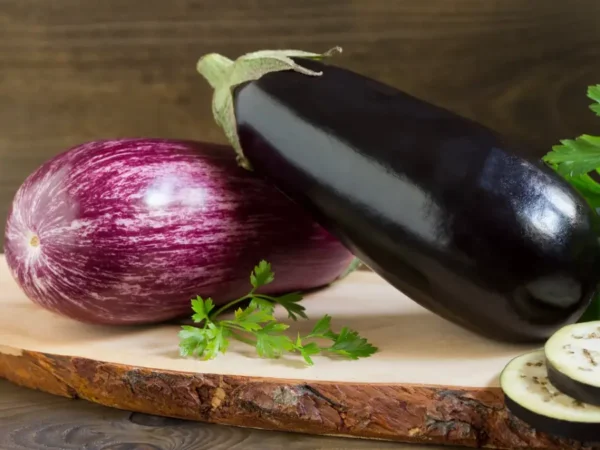 Aubergine