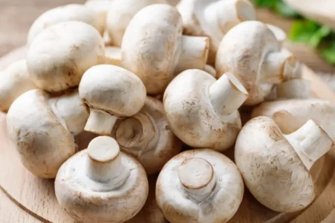 Champignon