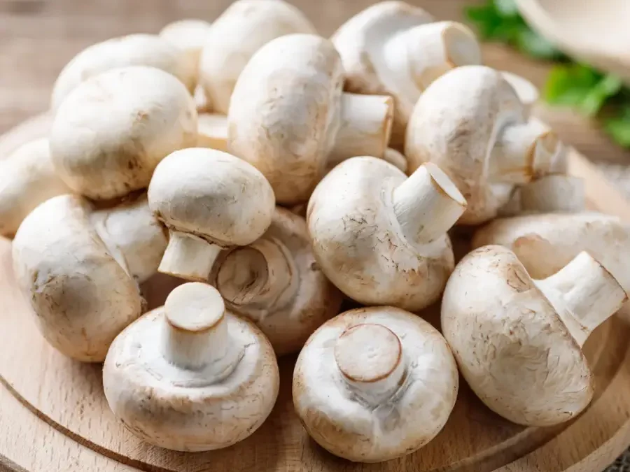 Champignon