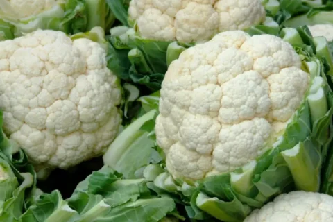 Chou-fleur