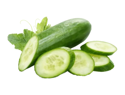 Concombre