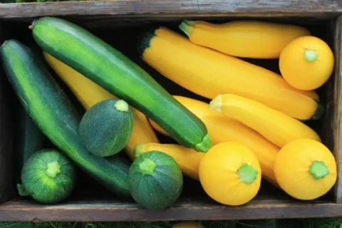 Courgette