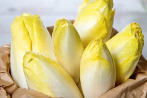 Endive