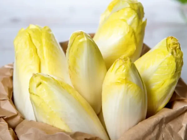 Endive