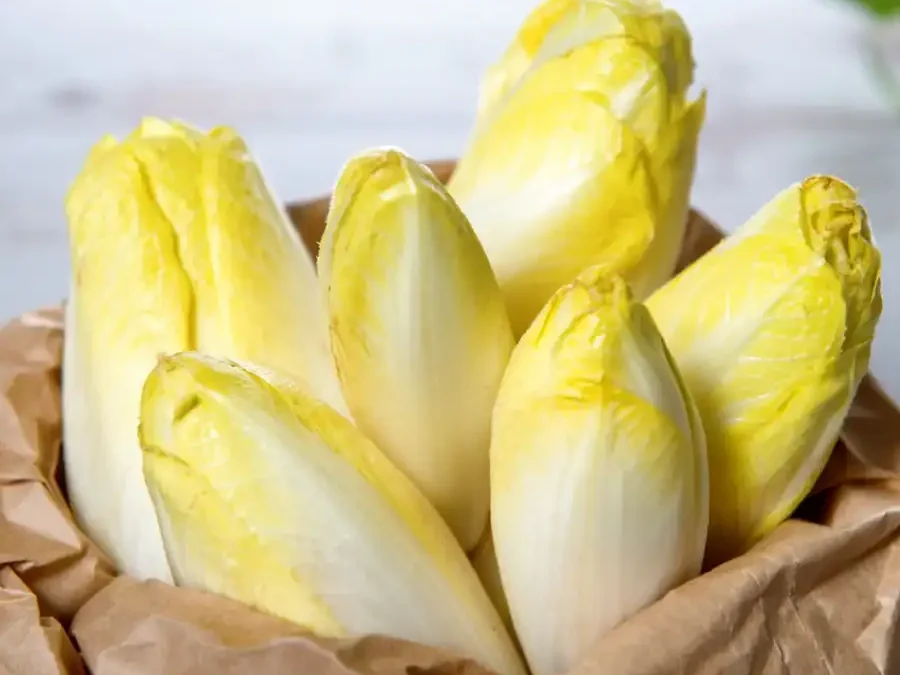 Endive