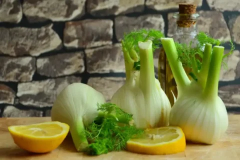 Fenouil