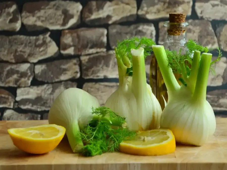 Fenouil