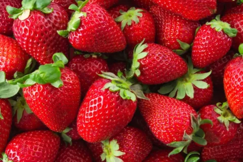 Fraise