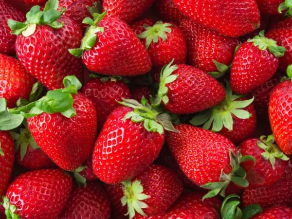 Fraise