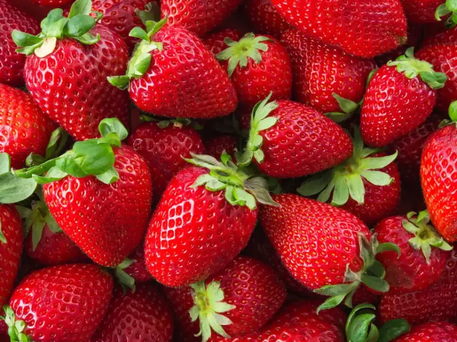 Fraise