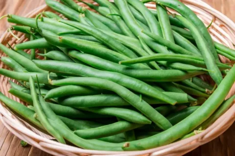 Haricot vert