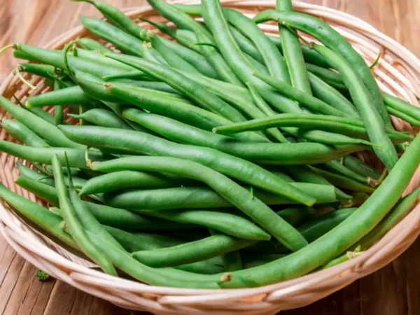 Haricot vert