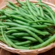 Haricot vert