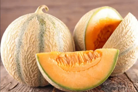 Melon