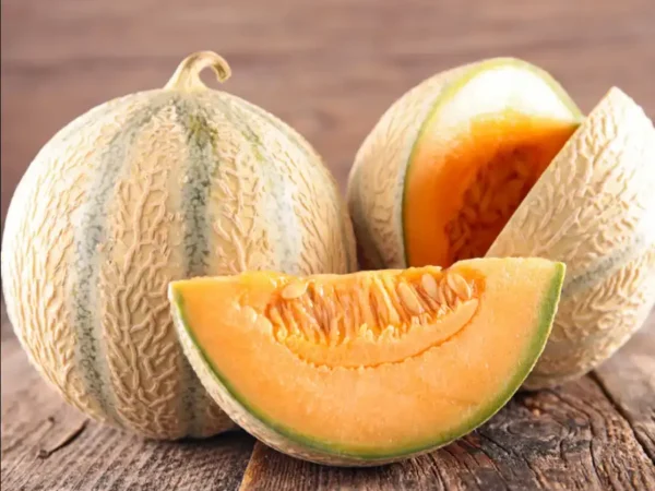 Melon