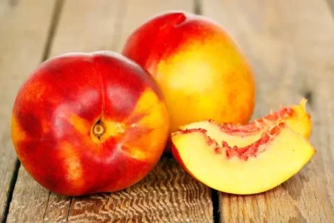 Nectarine