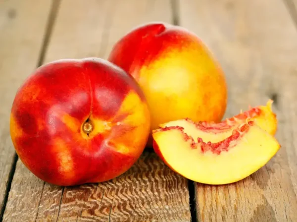 Nectarine