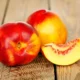 Nectarine